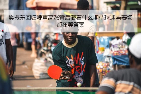 樊振东回归呼声高涨背后藏着什么期待球迷与赛场都在等答案